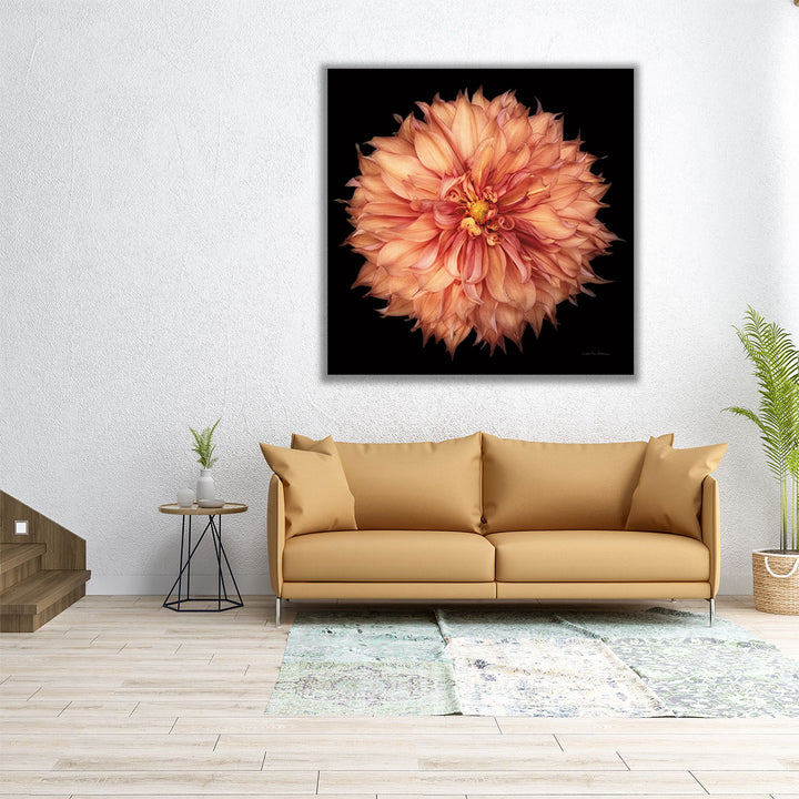 Dahlia I - Canvas Print Wall Art