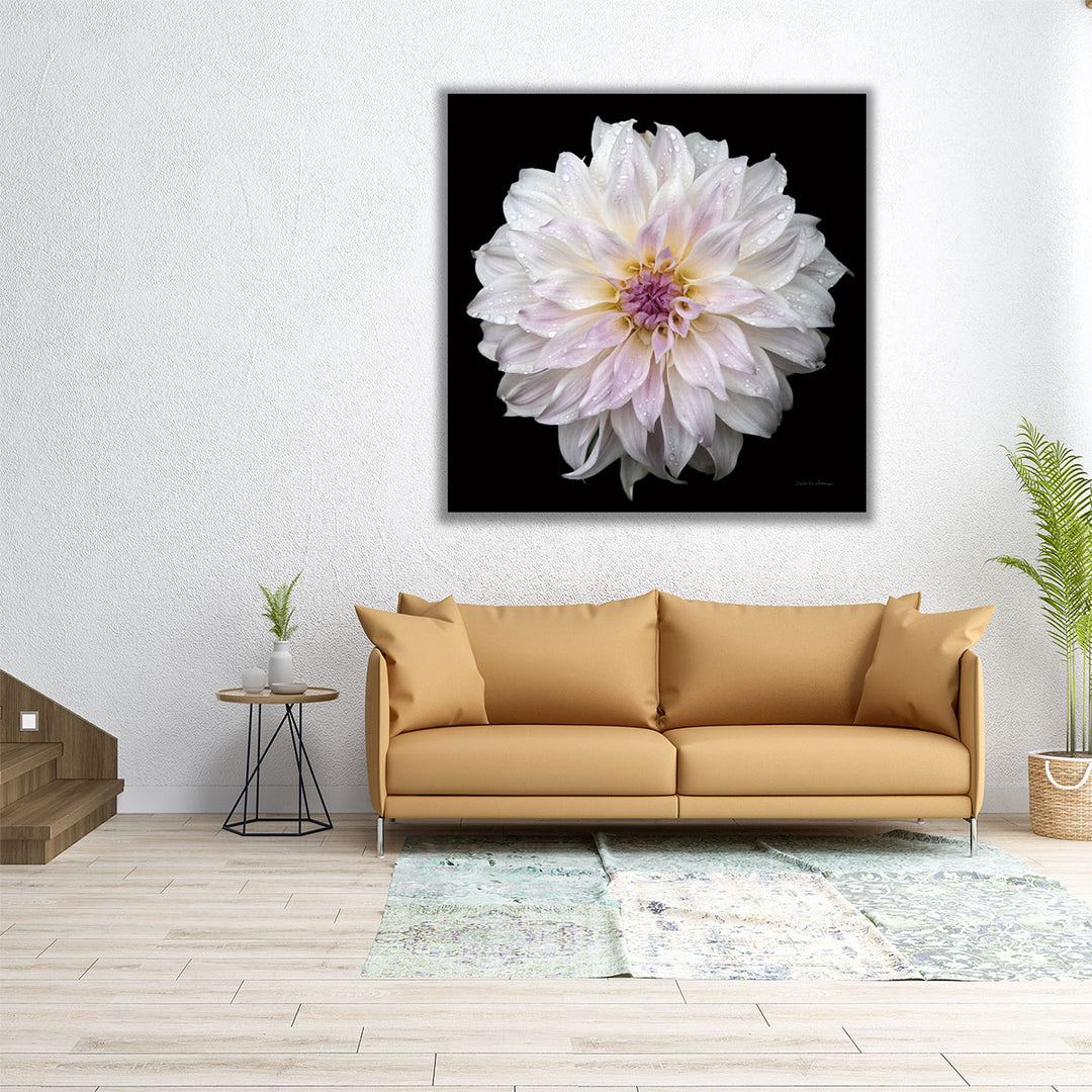 Dahlia IV - Canvas Print Wall Art