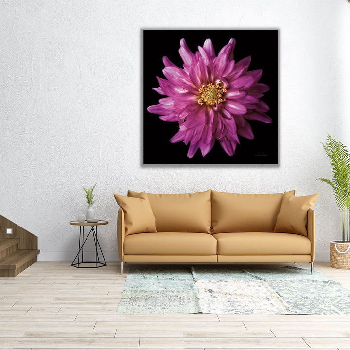 Dahlia V - Canvas Print Wall Art