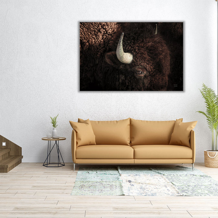 Bison - Canvas Print Wall Art