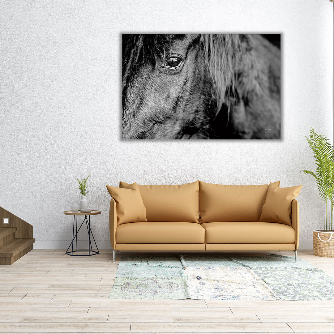 Mustang - Canvas Print Wall Art