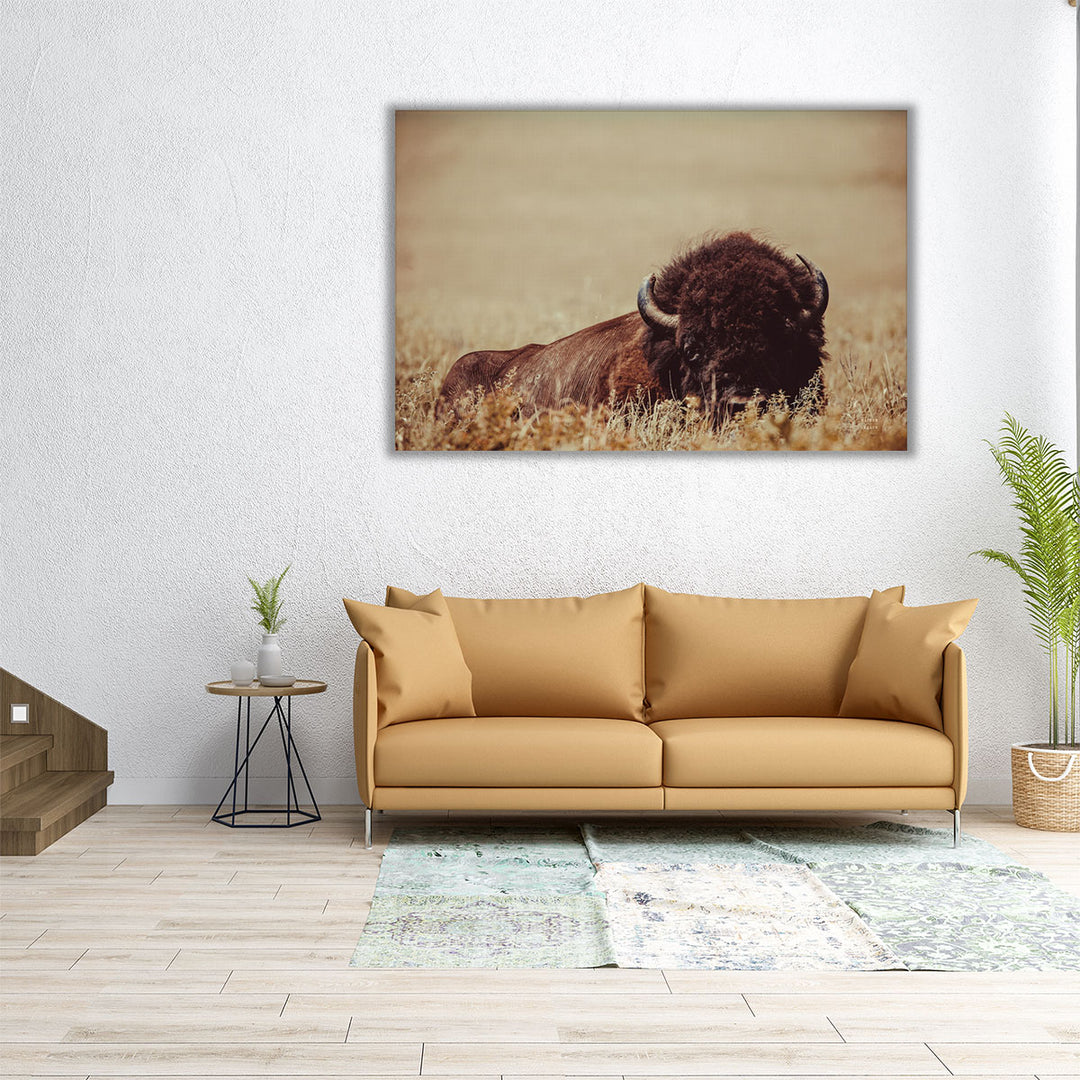 Tall Grass Bison II - Canvas Print Wall Art