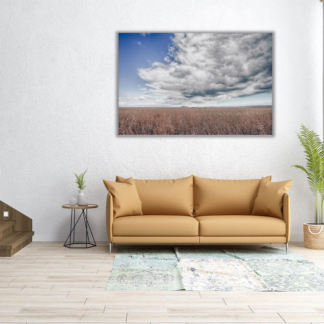 Soy Fields - Canvas Print Wall Art