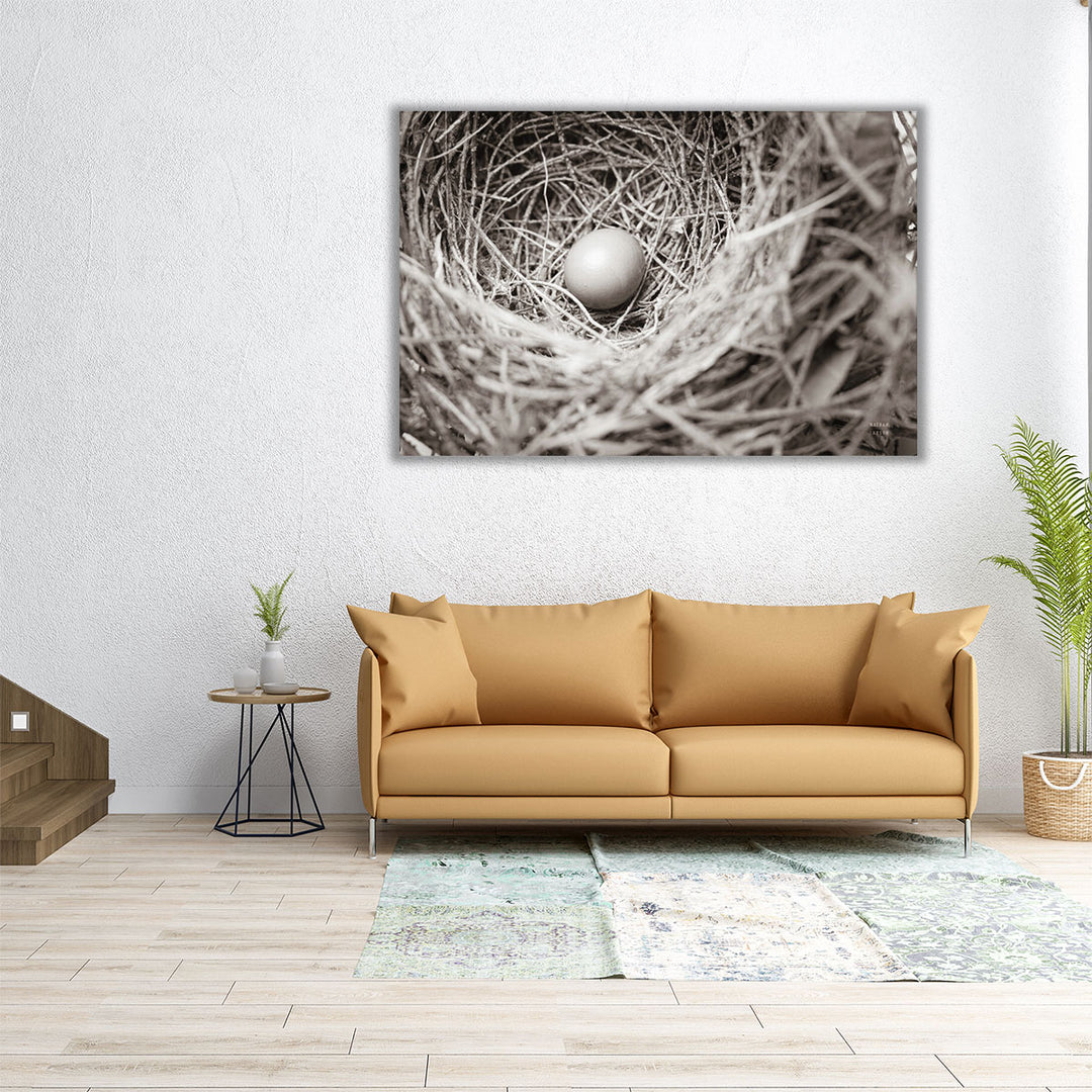 Nesting - Canvas Print Wall Art