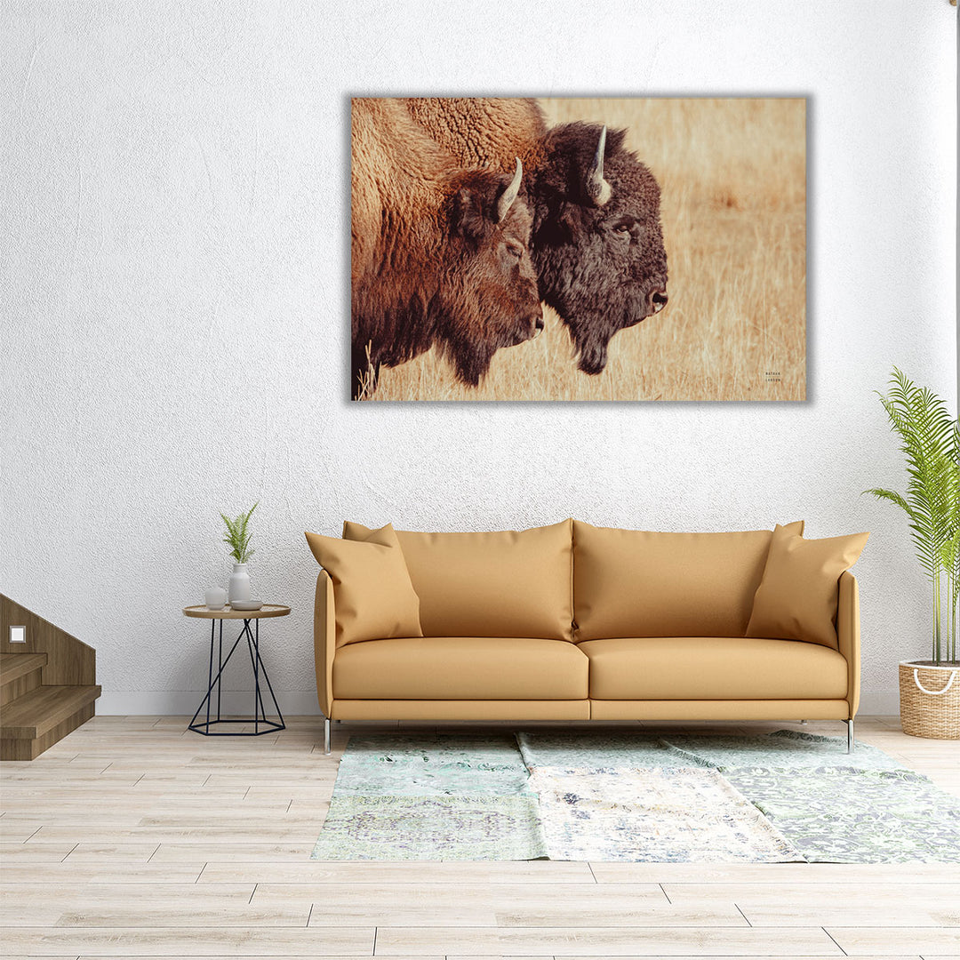 Bison Pair - Canvas Print Wall Art