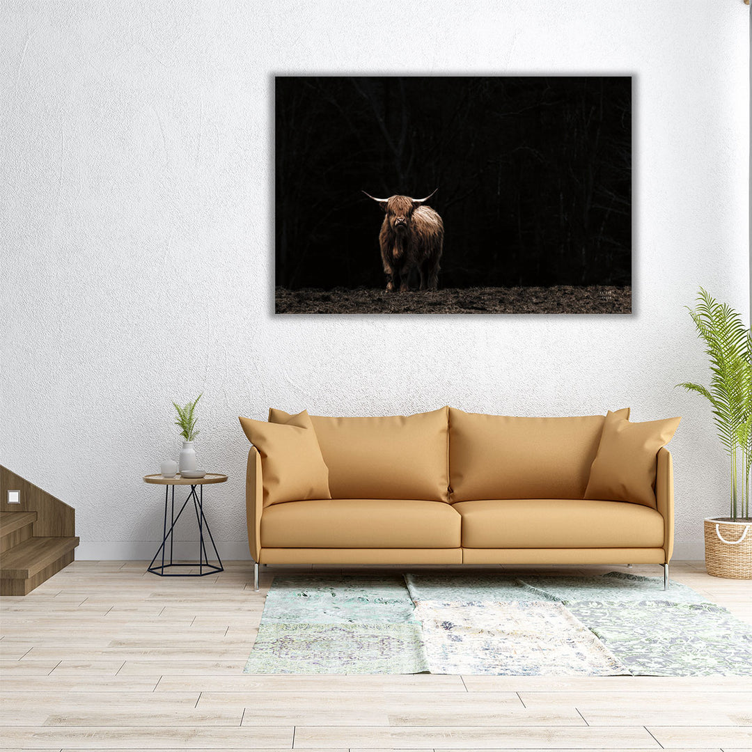 Highland Cow King of the Hill - Canvas Print Wall Art