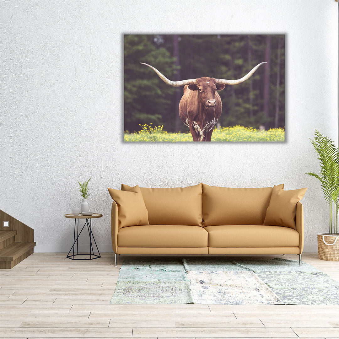 Longhorn Flowers - Canvas Print Wall Art