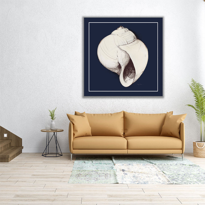 Coastal Shell I with Border Navy - Canvas Print Wall Art