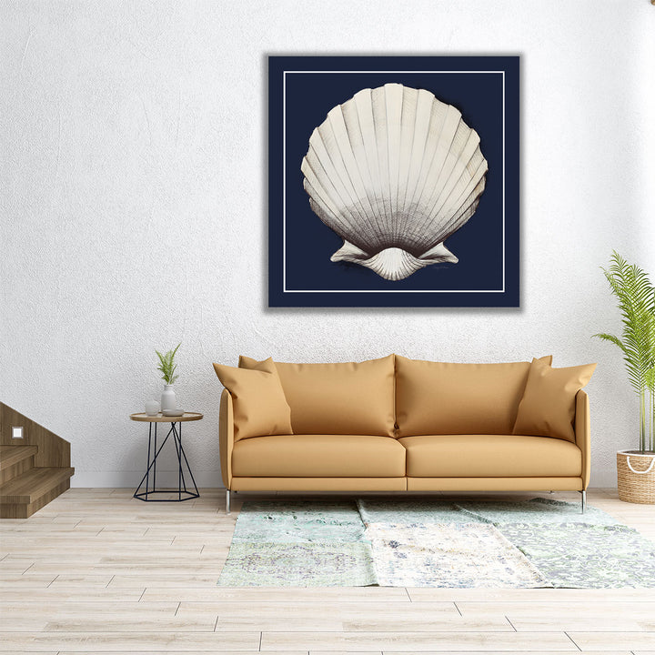 Coastal Shell II with Border Navy - Canvas Print Wall Art