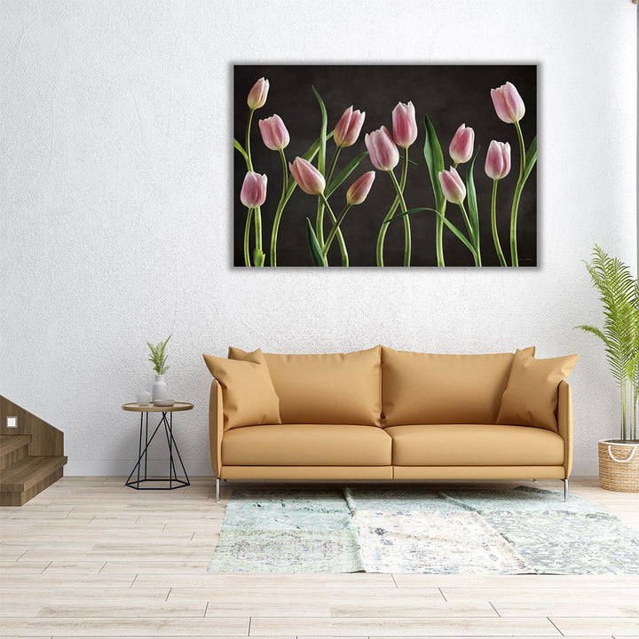 Spring Tulips IX - Canvas Print Wall Art