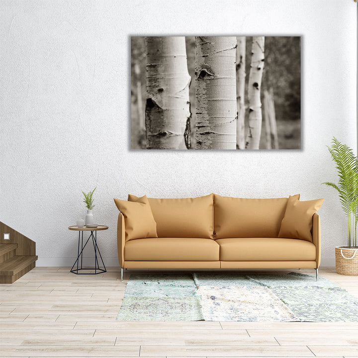 Aspens III - Canvas Print Wall Art