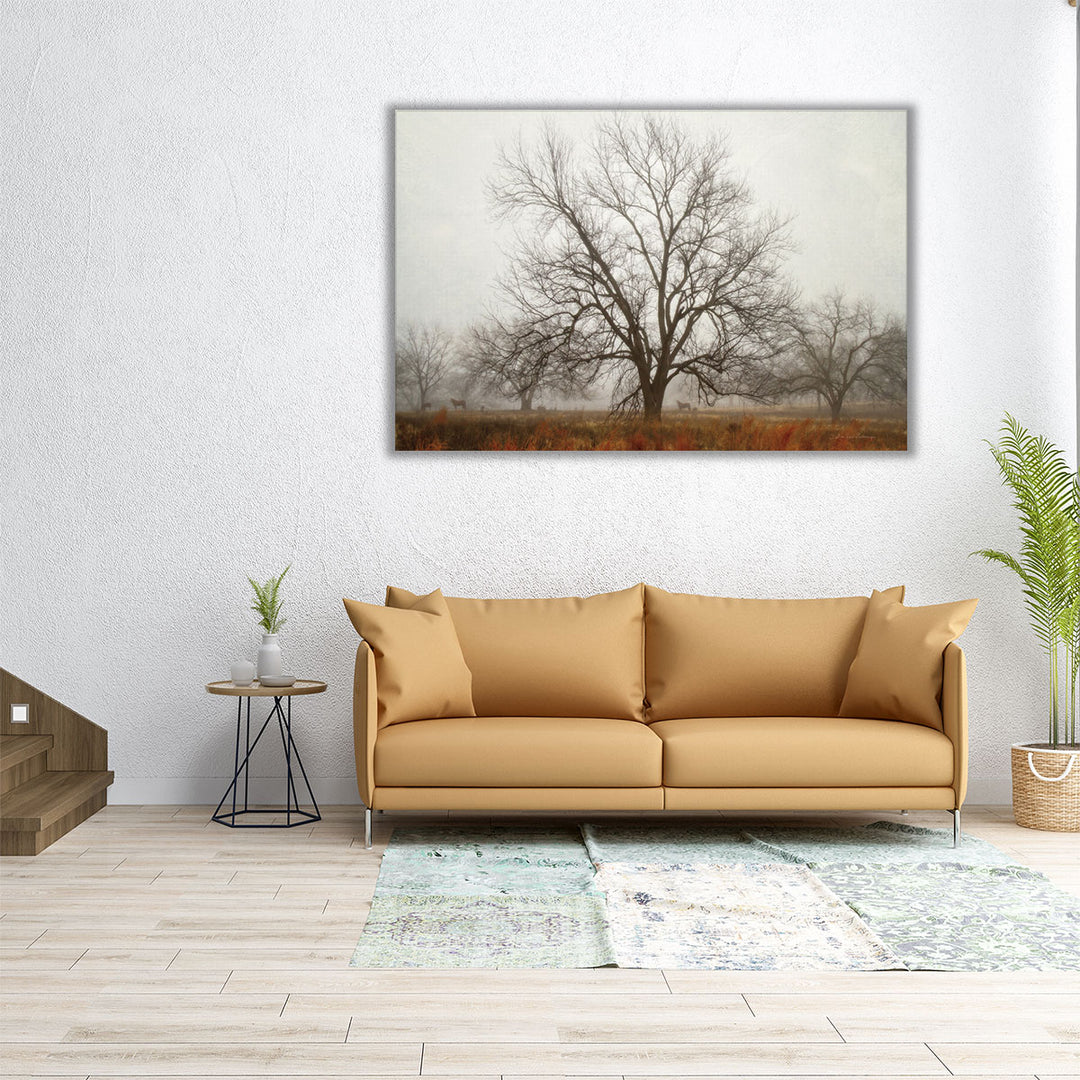 Morning Calm I - Canvas Print Wall Art