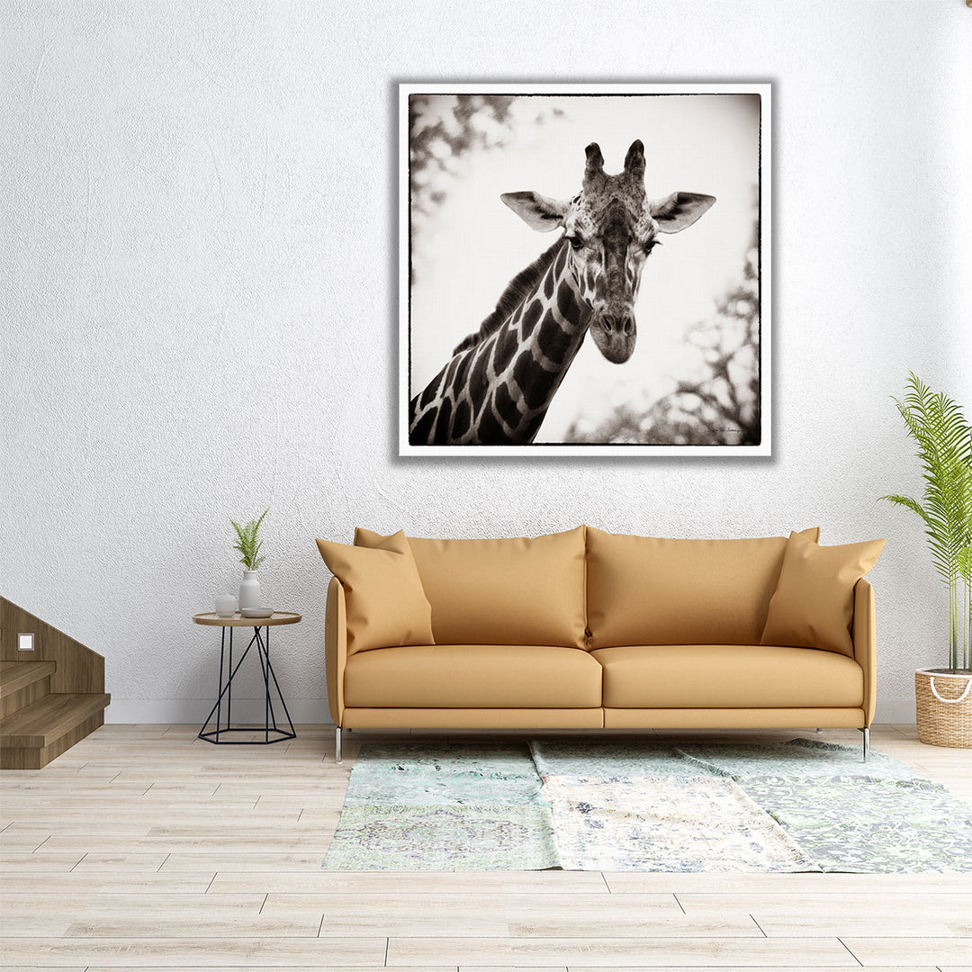 Giraffe I - Canvas Print Wall Art