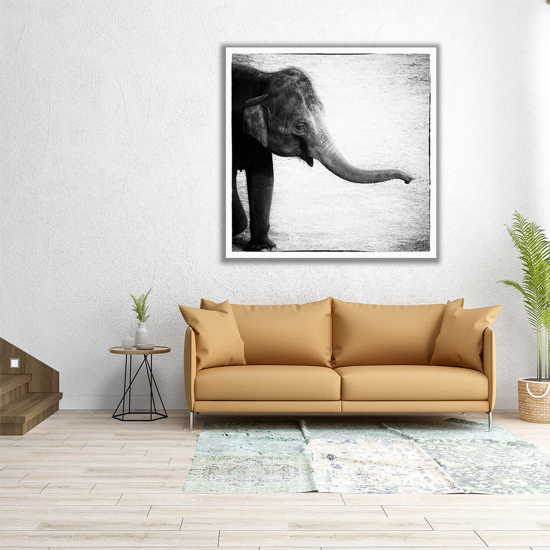 Elephant II Black and White - Canvas Print Wall Art