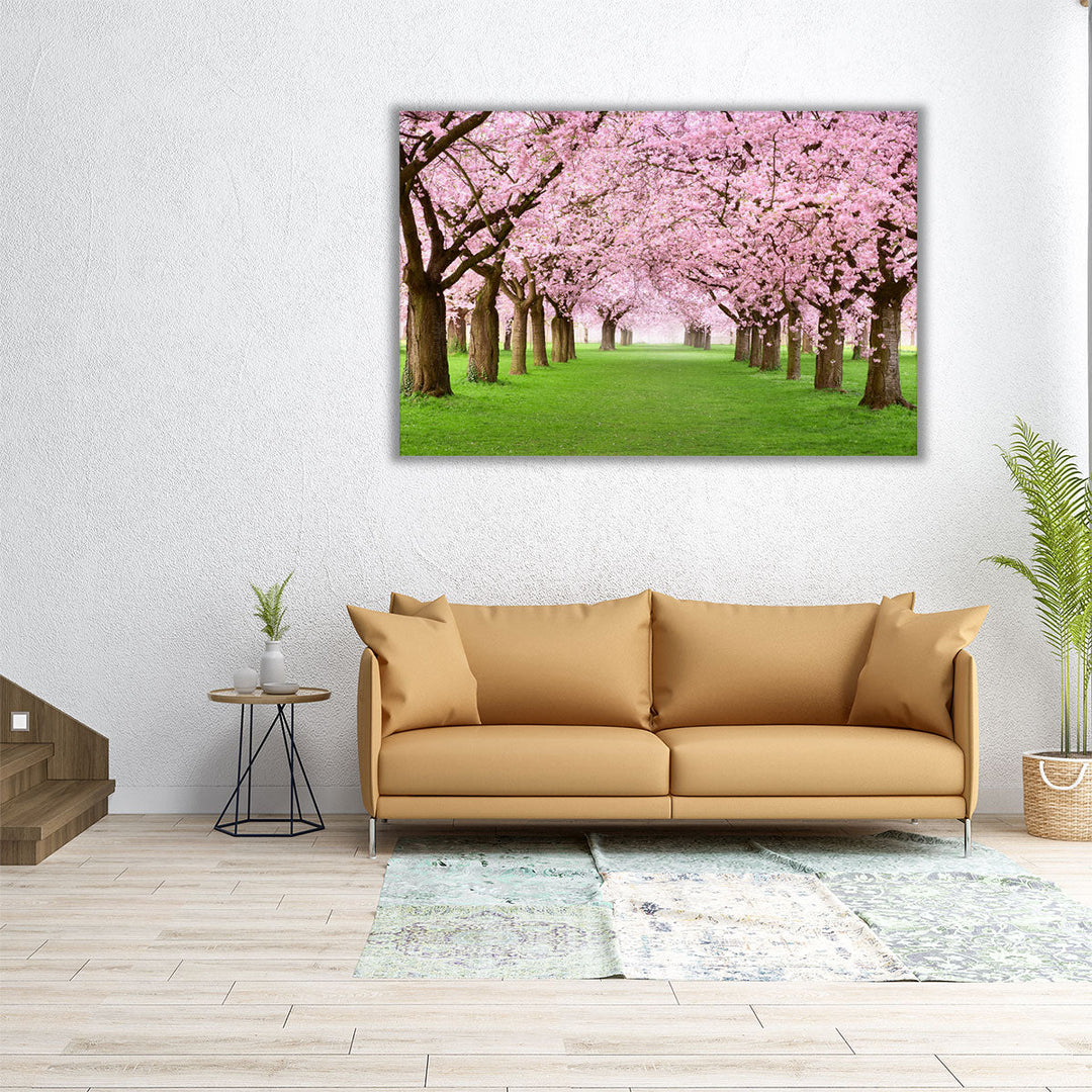 Ornamental Garden With Blossoming Cherry Trees - Canvas Print Wall Art