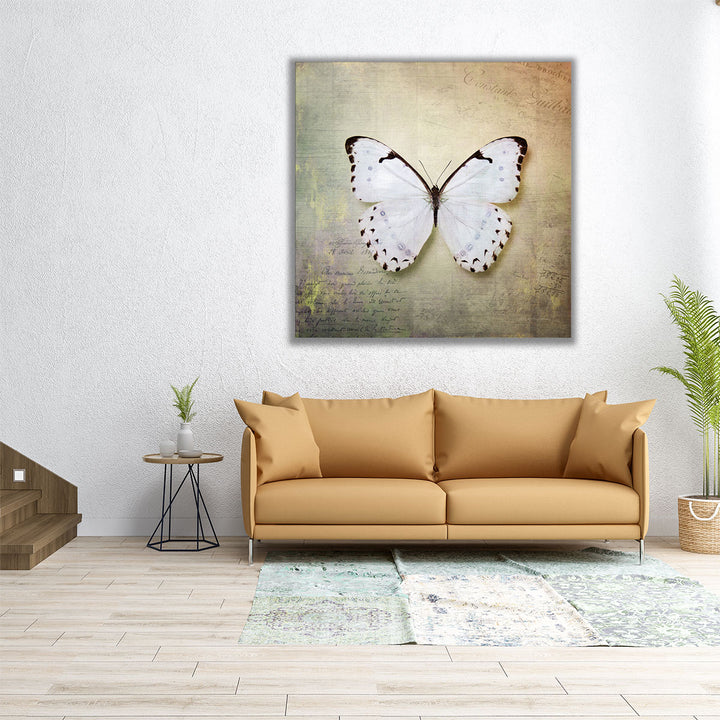 French Butterfly II - Canvas Print Wall Art