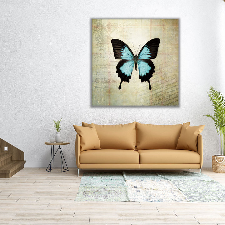 French Butterfly III - Canvas Print Wall Art