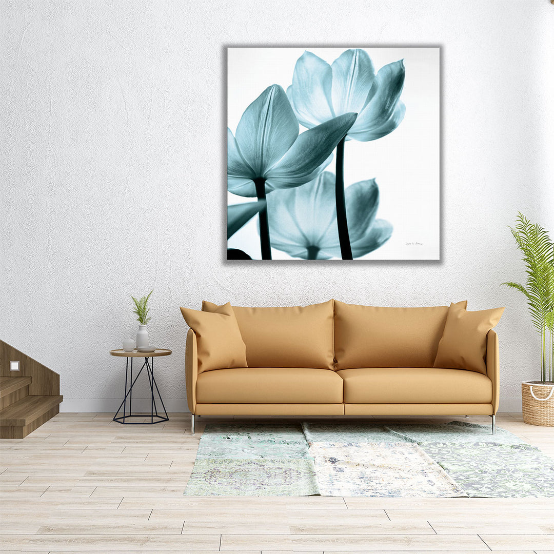 Translucent Tulips III Aqua - Canvas Print Wall Art