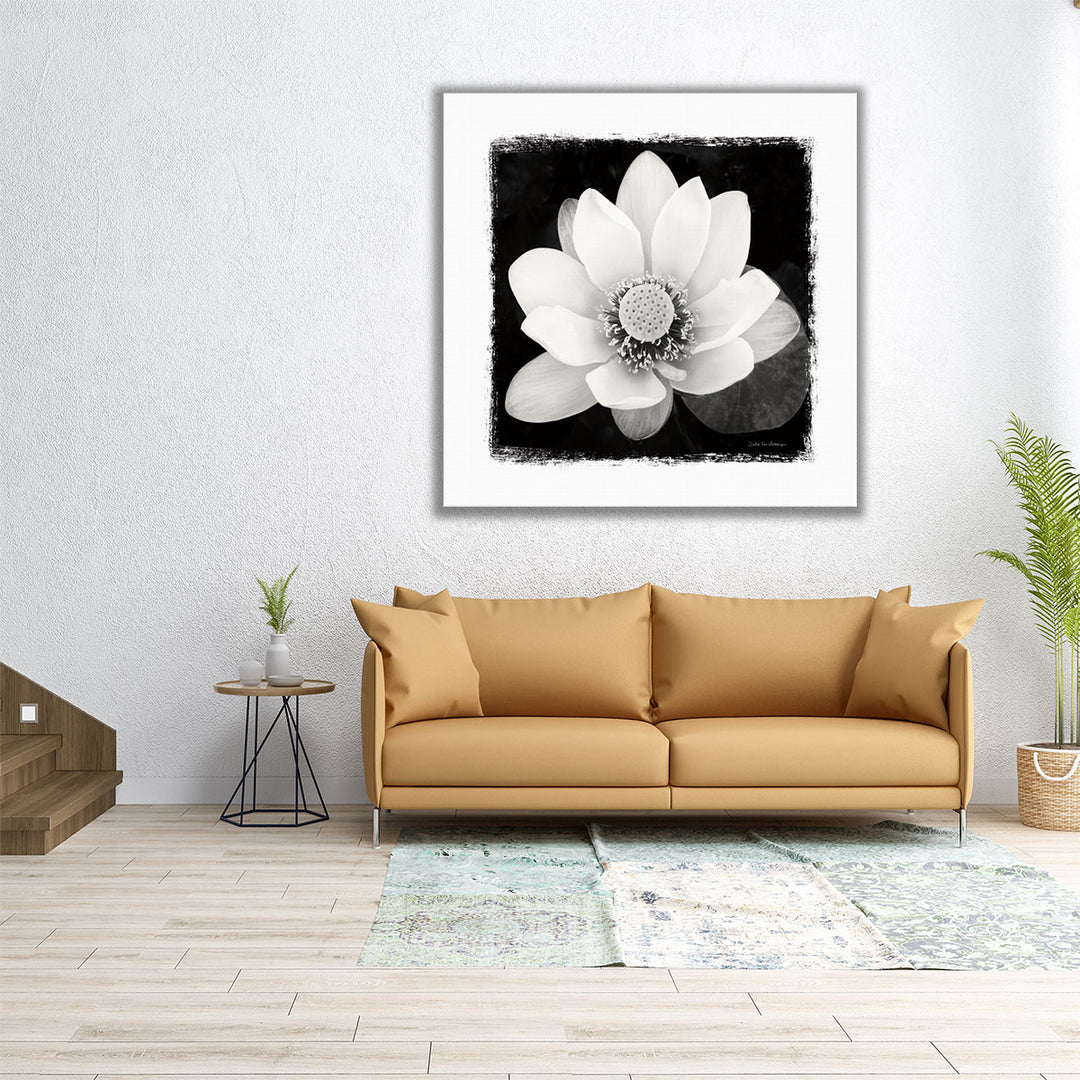 Lotus Flower II Black and White - Canvas Print Wall Art