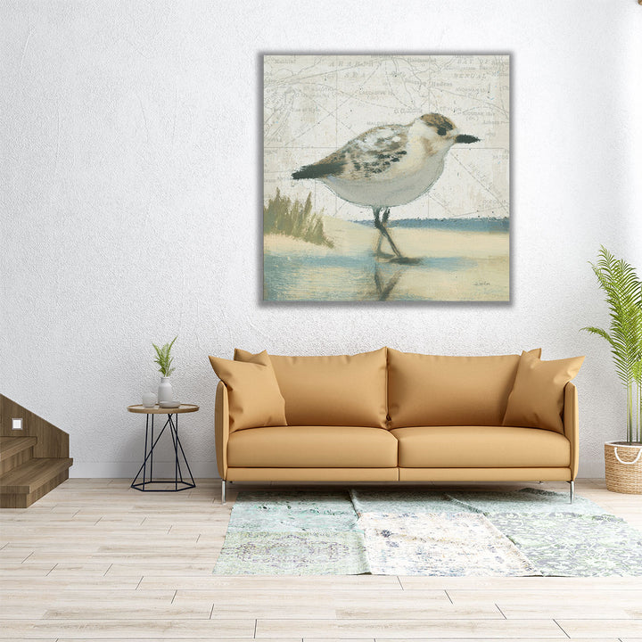 Beach Bird I- Canvas Print Wall Art