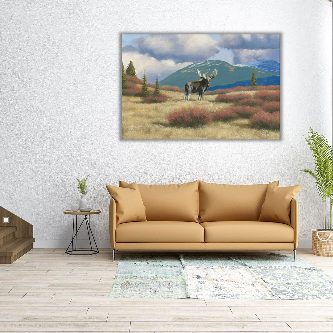 Northern Moose - Canvas Print Wall Art