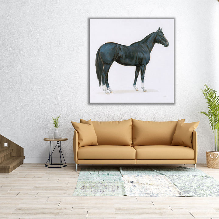 Black Horse - Canvas Print Wall Art