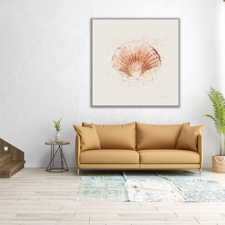 Shell Collector IV - Canvas Print Wall Art