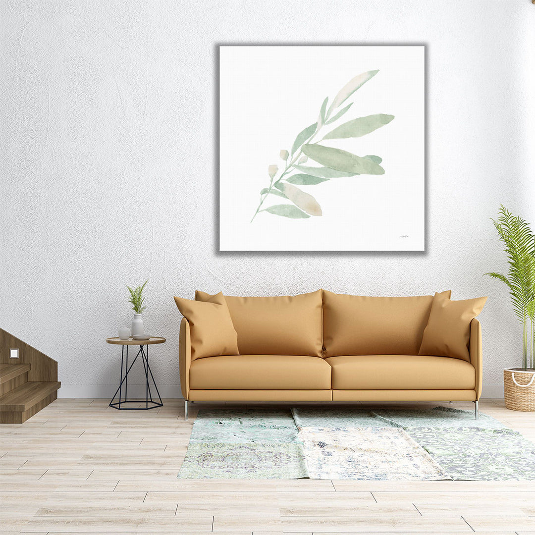 Sage I - Canvas Print Wall Art