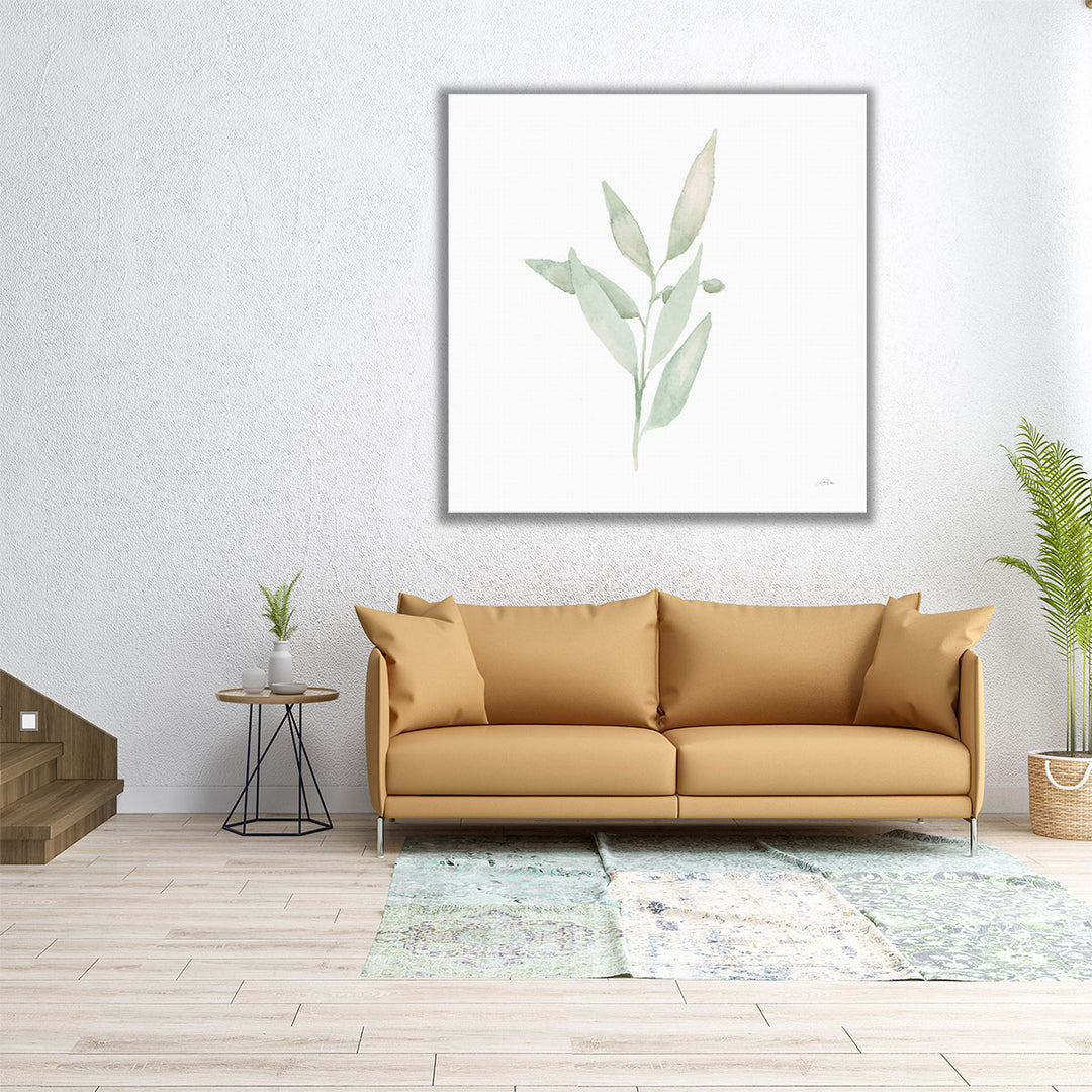 Sage II - Canvas Print Wall Art