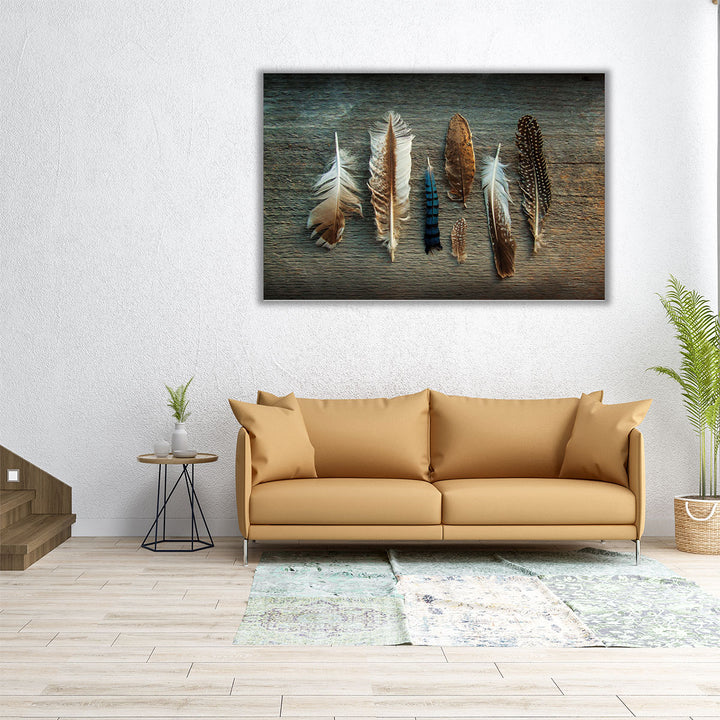 Feather Collection I - Canvas Print Wall Art