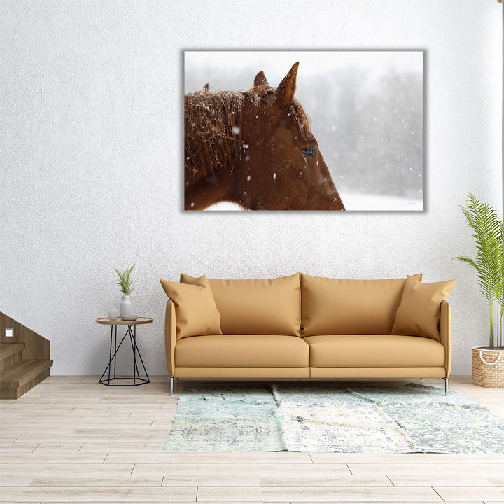 Snowy Caleb - Canvas Print Wall Art