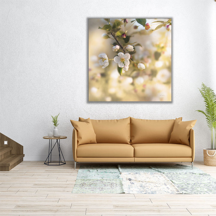 Blush Blossoms I - Canvas Print Wall Art