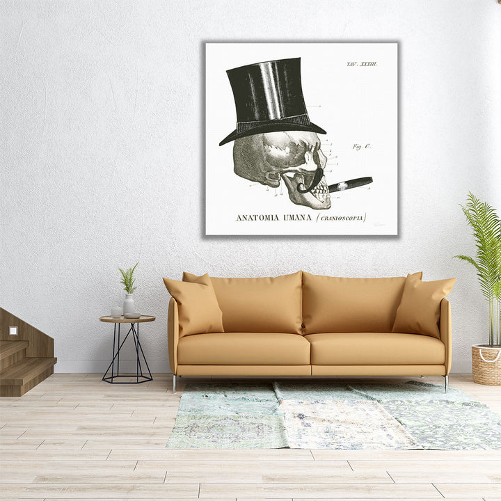 Dandy Bones III Black and White - Canvas Print Wall Art