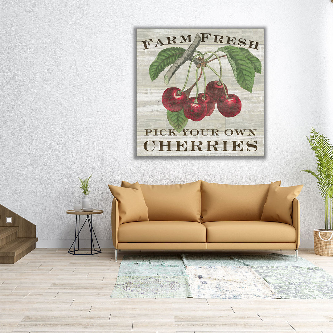 Farm Fresh Cherries - Canvas Print Wall Art