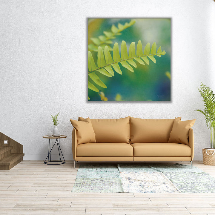 Natures Ferns I - Canvas Print Wall Art