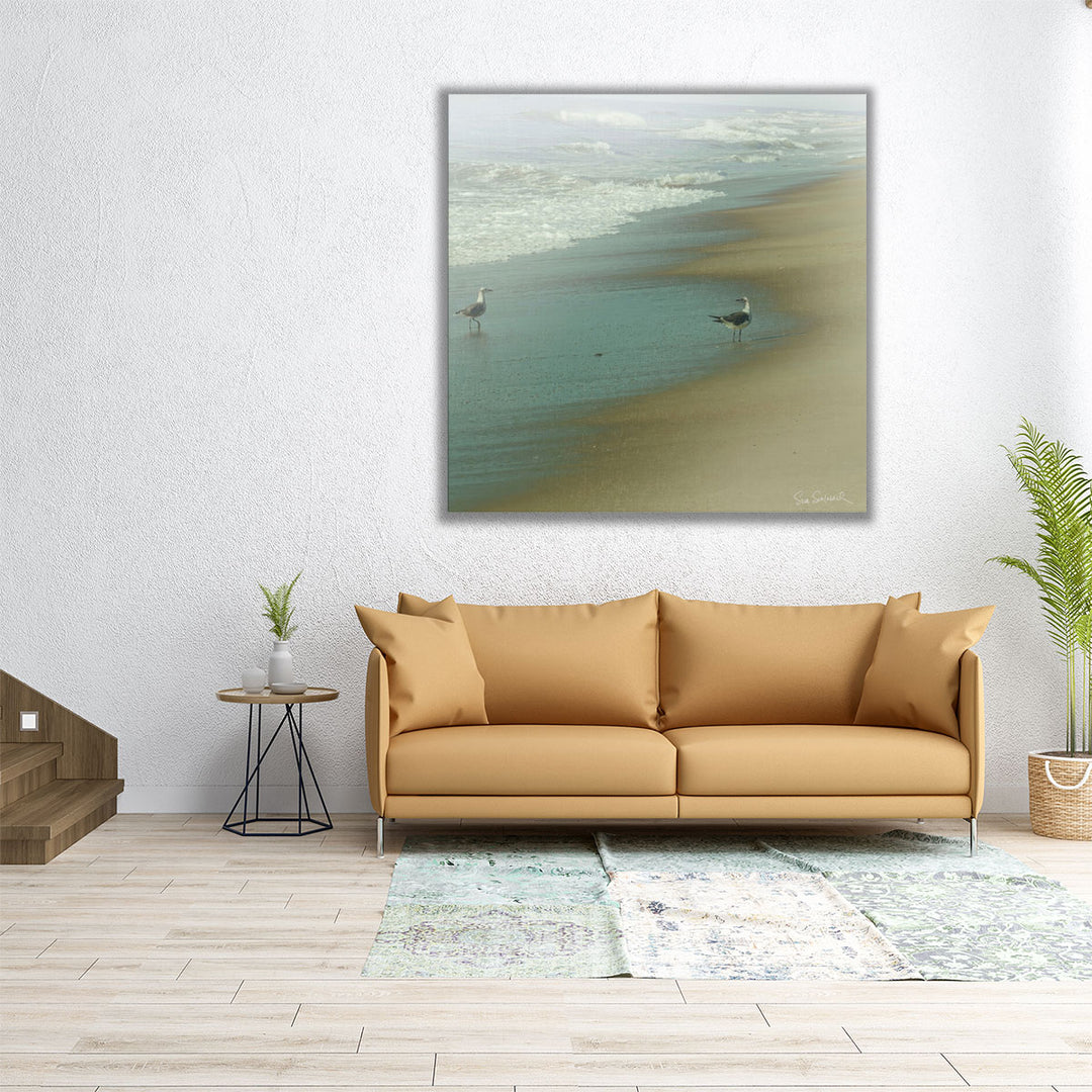 Seabirds - Canvas Print Wall Art