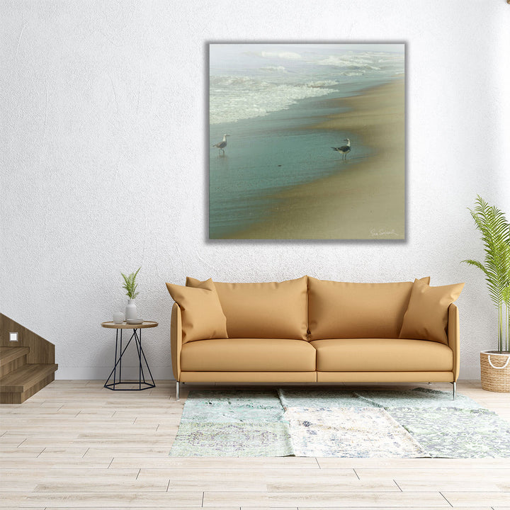 Seabirds - Canvas Print Wall Art