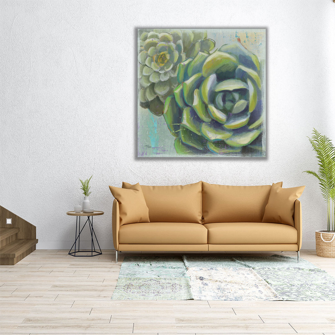 Succulents II - Canvas Print Wall Art