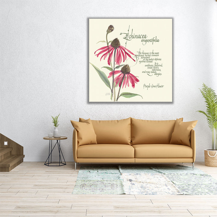 Echinacea - Canvas Print Wall Art