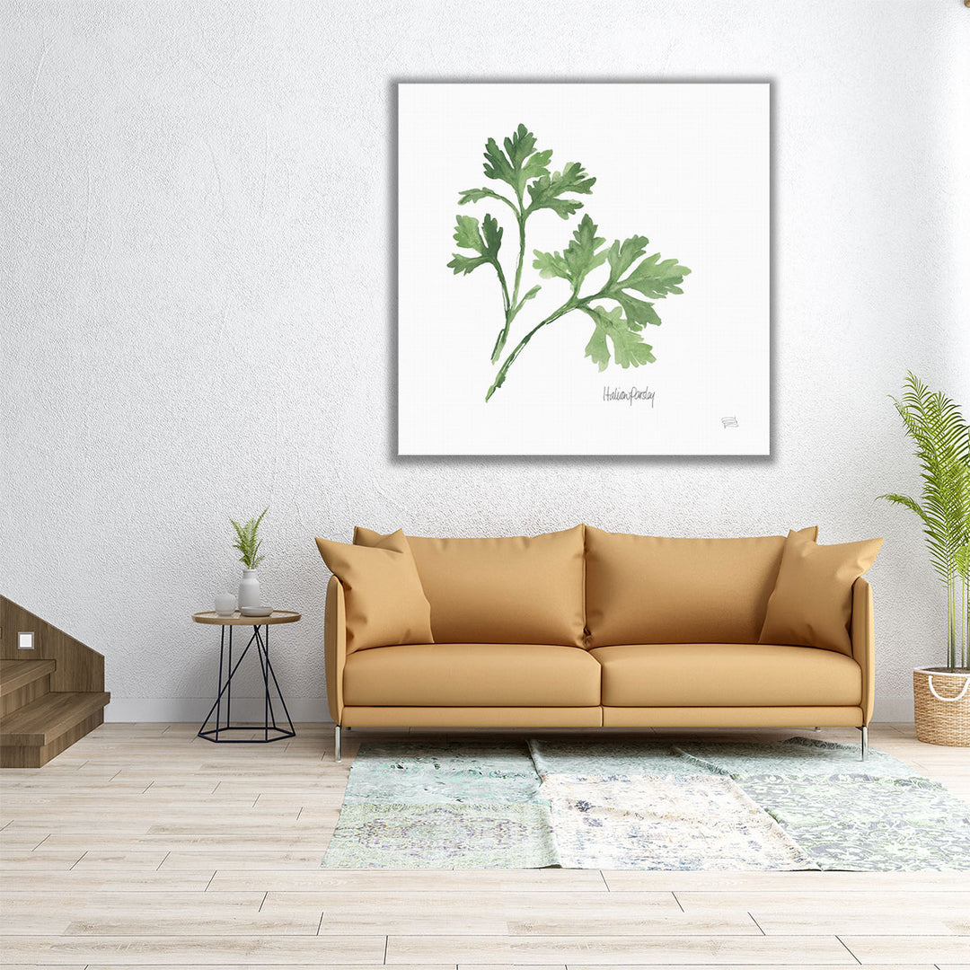 Italian Parsley - Canvas Print Wall Art