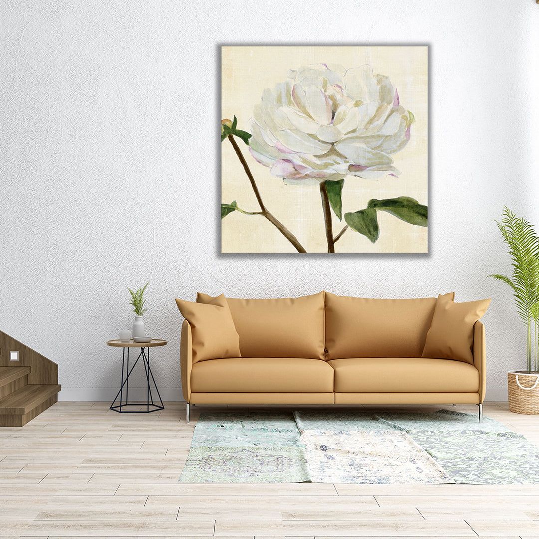 Peony in Bloom I - Canvas Print Wall Art