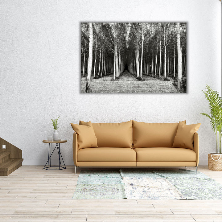 Alley At Lac Duby Black And White - Canvas Print Wall Art