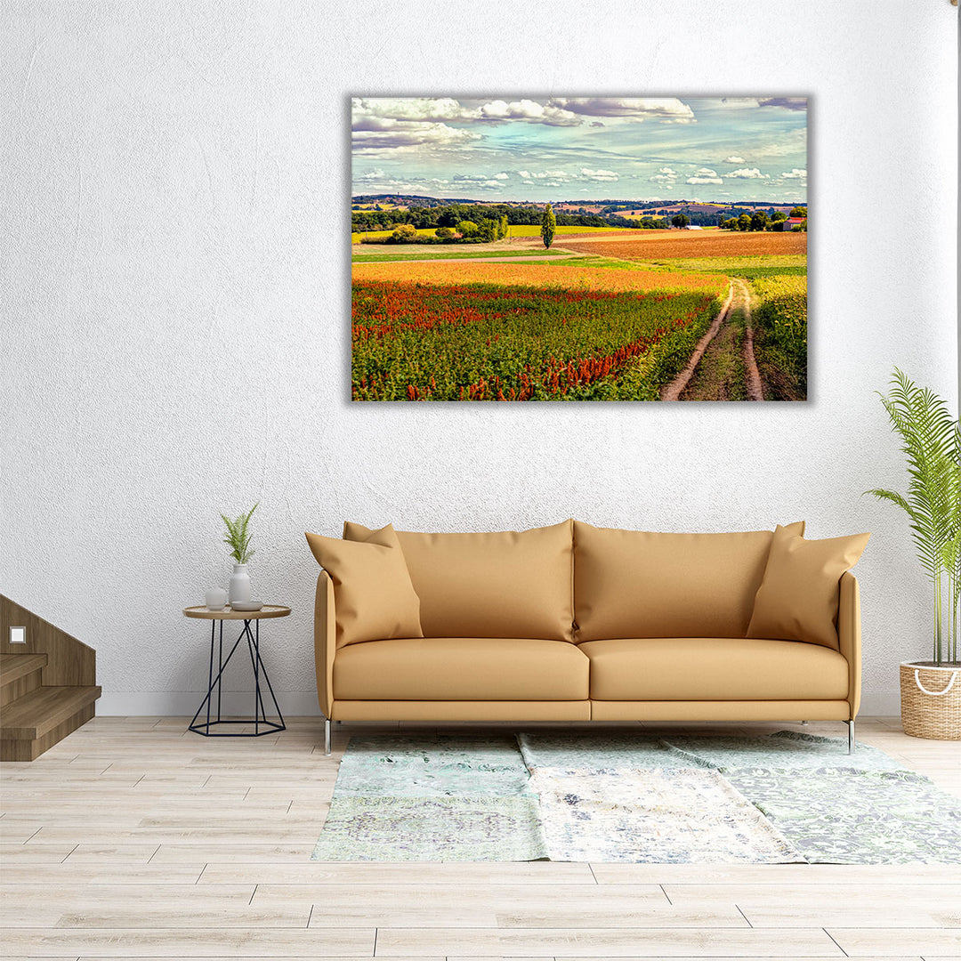 Back Road From Francescas - Canvas Print Wall Art