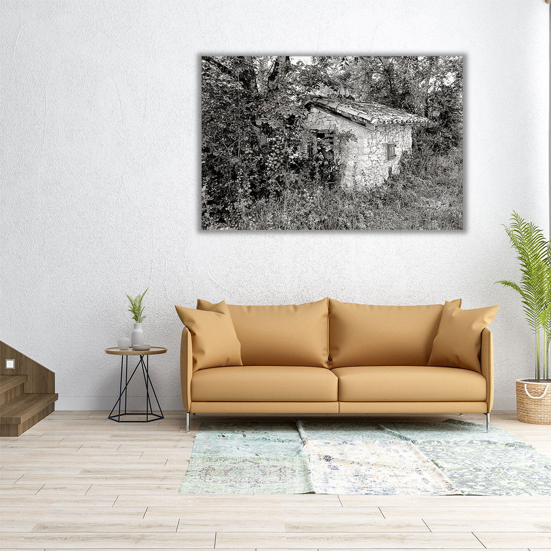 Back To Nature Black And White - Canvas Print Wall Art