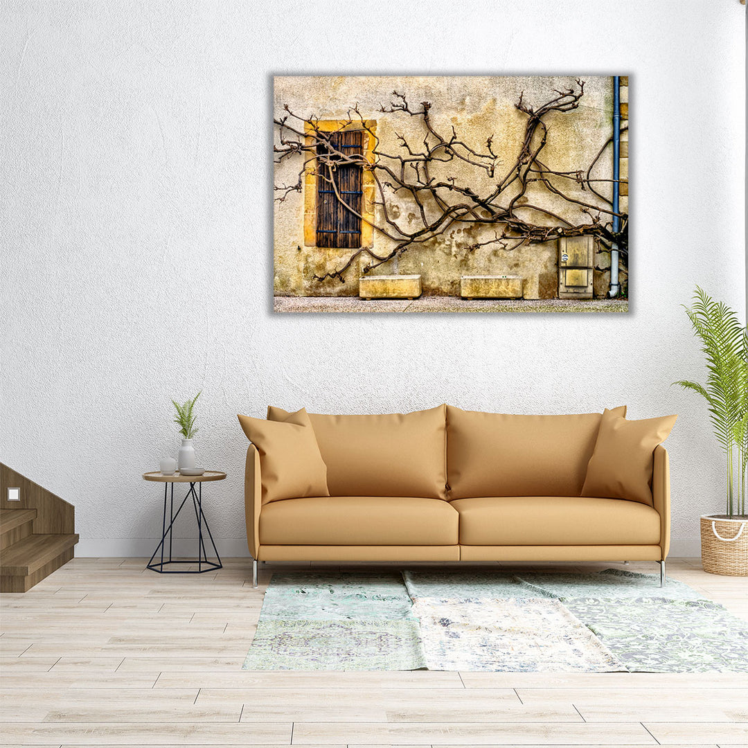 Vines Of Navarrenx - Canvas Print Wall Art