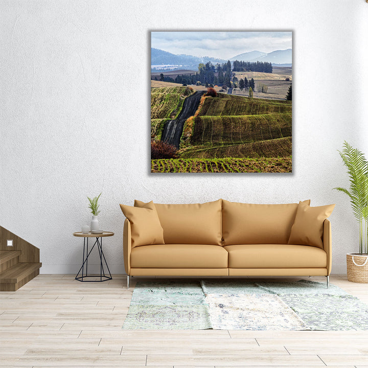 Palouse Hills - Canvas Print Wall Art