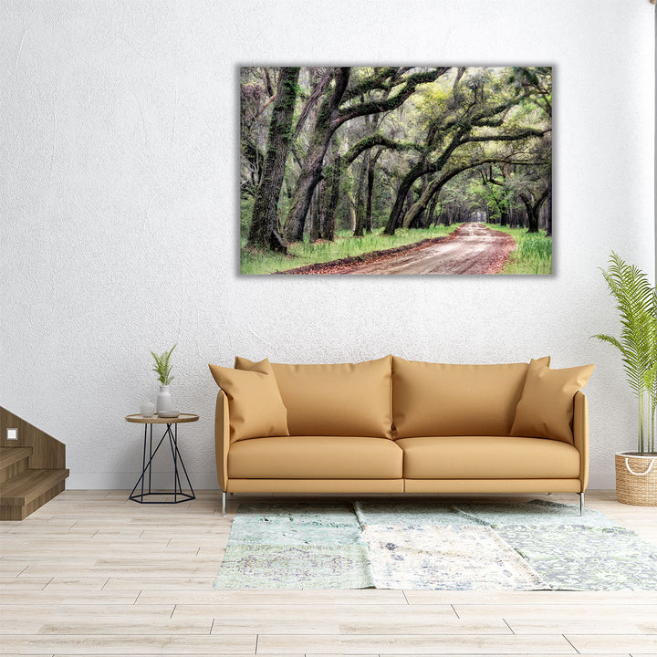 Dirt Road II - Canvas Print Wall Art