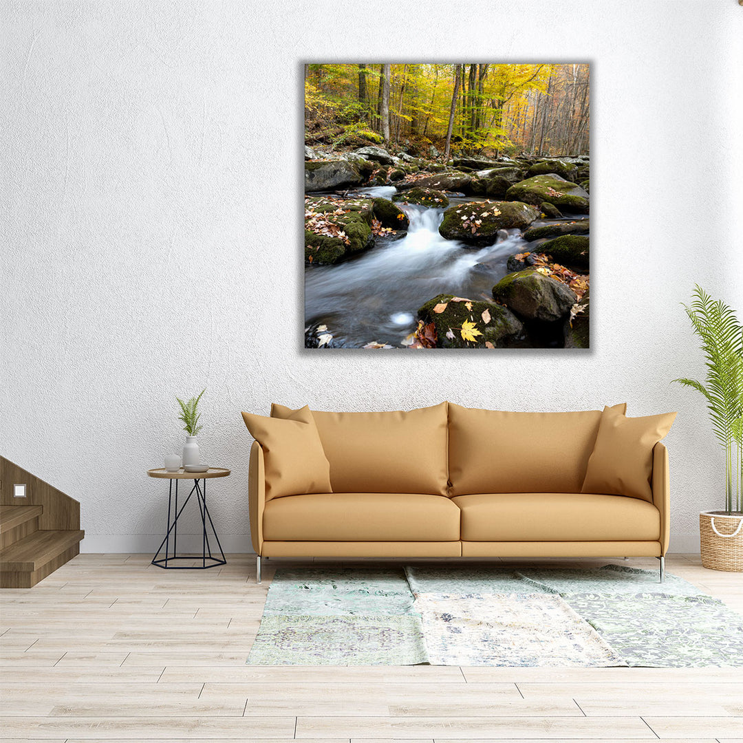 Autumn Rush - Canvas Print Wall Art