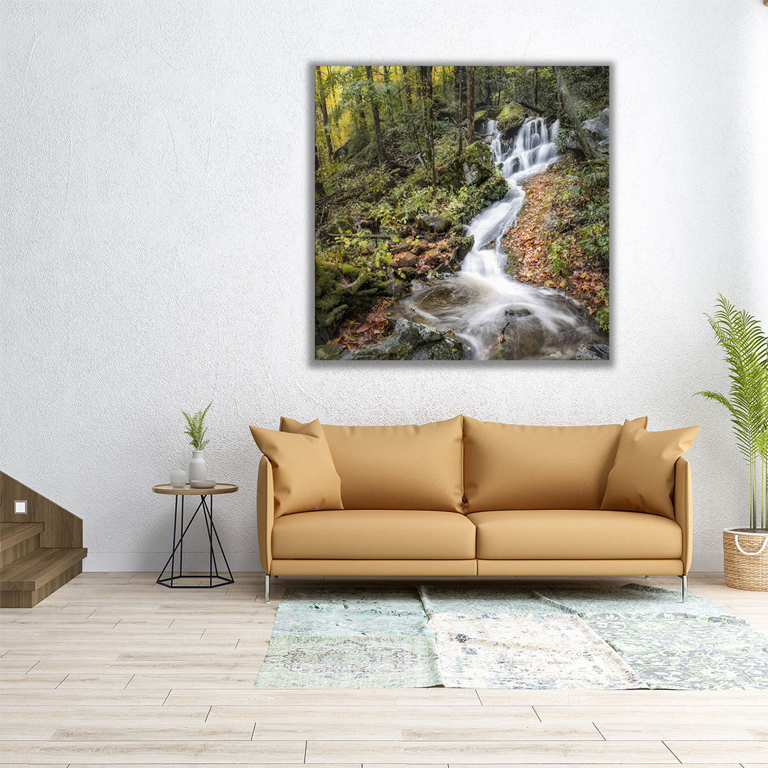 Roadside Falls - Canvas Print Wall Art