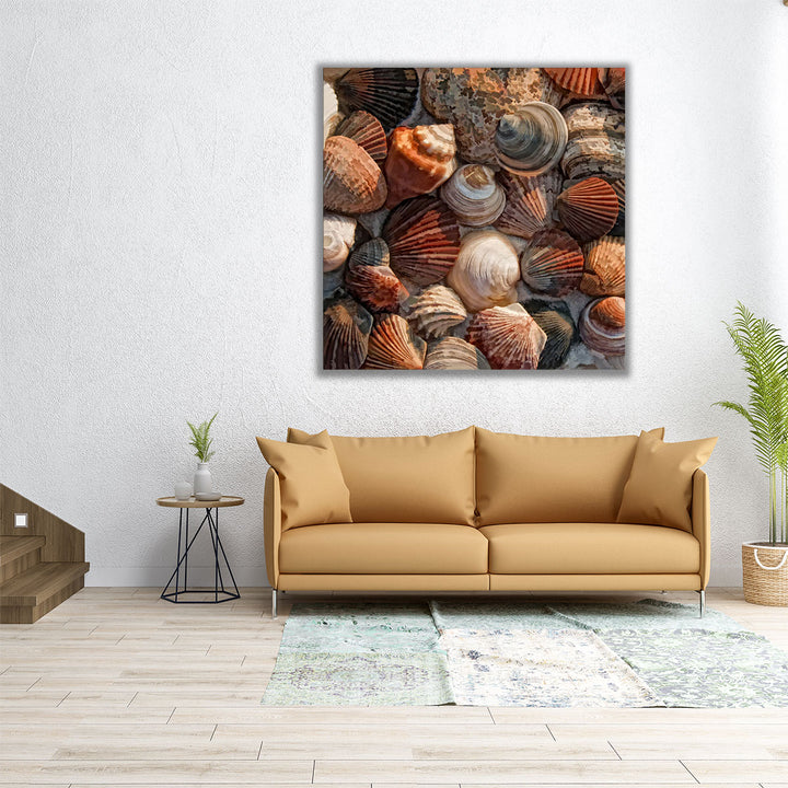 Shell Yes - Canvas Print Wall Art